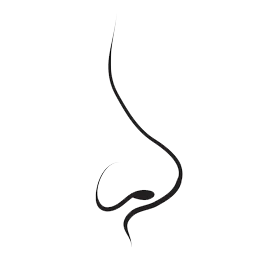 Rhinoplasty Logo
